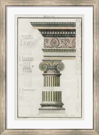 Framed Ionic Order Print