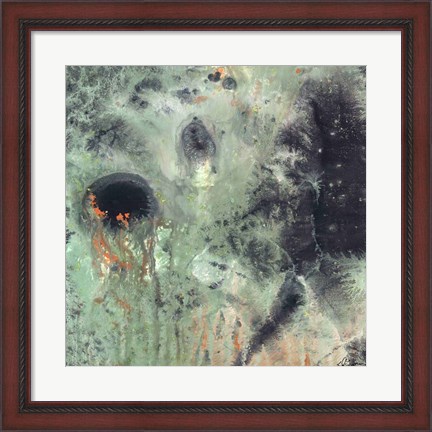 Framed Coral &amp; Jelly Fish II Print