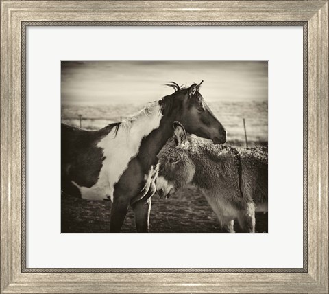 Framed Kissing Horses II Print