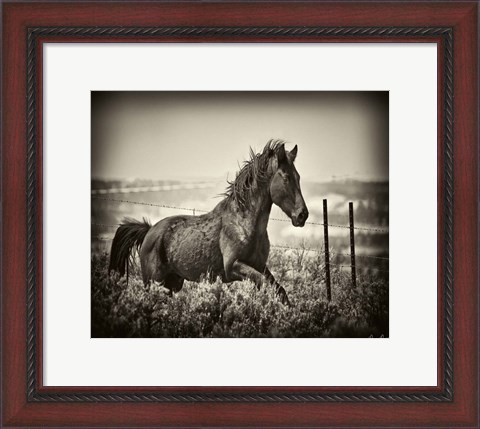 Framed Running Horse Print