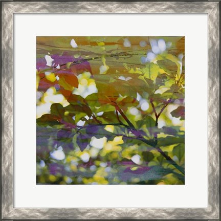 Framed Abstract Leaf Study II Print