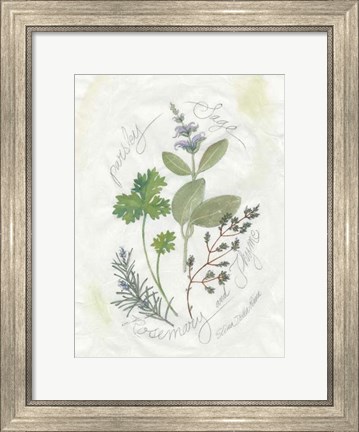 Framed Parsley &amp; Sage Print