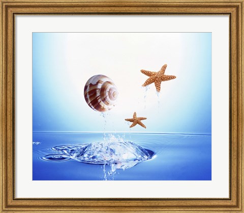 Framed shell and two starfish floating above bubbling water Print