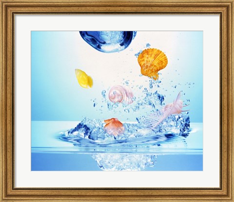 Framed Multicolored seashells and water bubbles in churning water Print