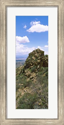 Framed Tucson Mountain Park facing East, Tucson, Arizona, USA Print