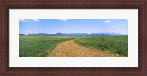 Framed Dirt road passing through a landscape, San Rafael Valley, Arizona Print
