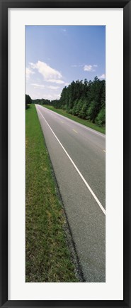 Framed Trees along the road, Alabama State Route 113, Alabama, USA Print