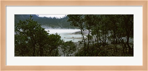 Framed Volcanic lake in a forest, Kawah Putih, West Java, Indonesia Print