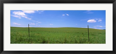 Framed Barbed Wire fence in a field, San Rafael Valley, Arizona, USA Print