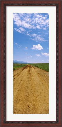 Framed Dirt road passing through San Rafael Valley, Arizona Print