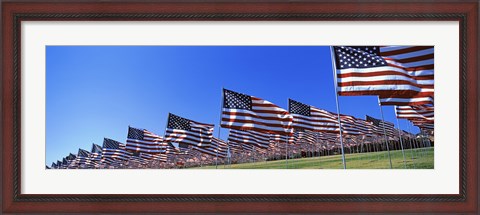 Framed American flags, Pepperdine University, Malibu, California Print
