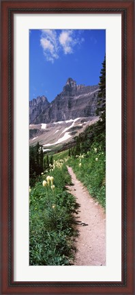 Framed Hiking trail at US Glacier National Park, Montana, USA Print