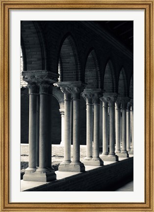 Framed Cloister of a church, Cloitre des Jacobins, Eglise des Jacobins, Toulouse, Haute-Garonne, Midi-Pyrenees, France Print