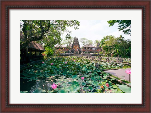 Framed Water lilies in a pond at the Pura Taman Saraswati Temple, Ubud, Bali, Indonesia Print