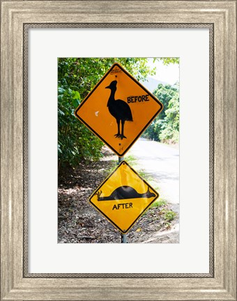 Framed Warning sign at the roadside, Cape Tribulation, Queensland, Australia Print