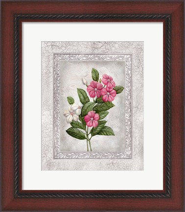 Framed Floral III Print