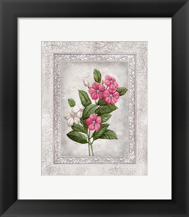 Framed Floral III Print