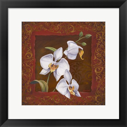 Framed Orchid Study I Print