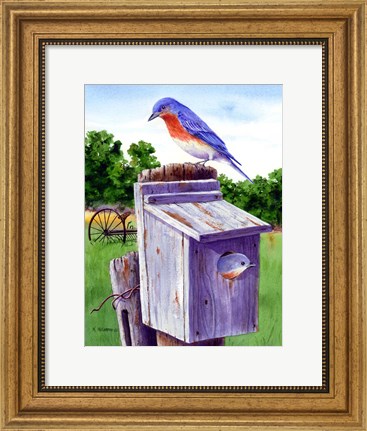 Framed Bluebird Print