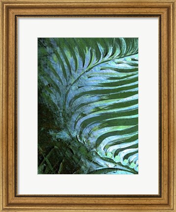 Framed Emerald Feathering I Print