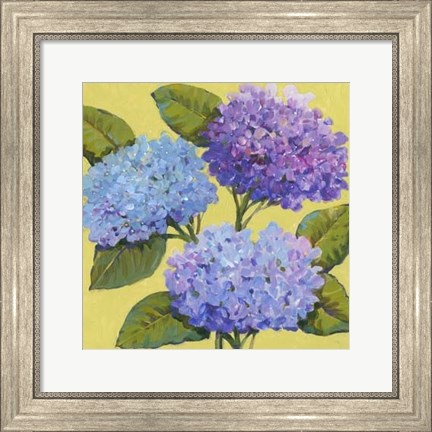 Framed Spring Hydrangeas I Print