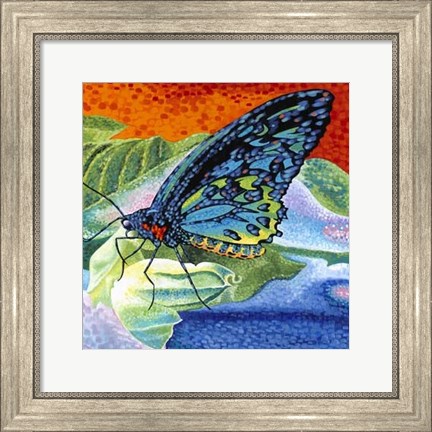 Framed Poised Butterfly II Print