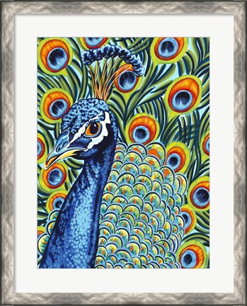 Framed Plumed Peacock I Print