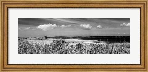 Framed Shore Panorama III Print