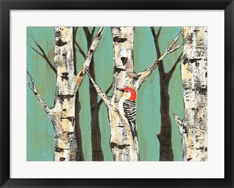 Framed Birch Grove on Teal II Print