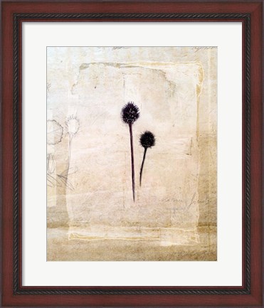 Framed Herbarium IV Print