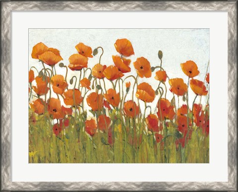 Framed Rows of Poppies II Print