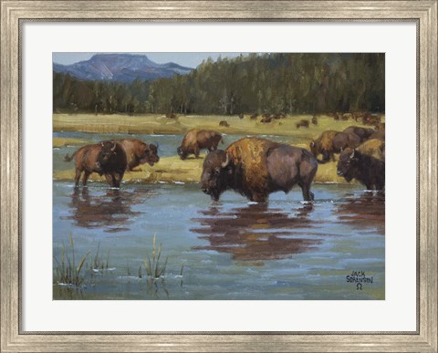 Framed Buffalo Crossing Print