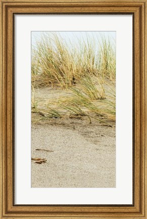 Framed Dunes I Print