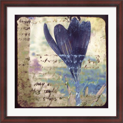 Framed Blooming Purple I Print