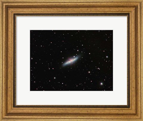 Framed Galaxy M82 in Ursa Major Print