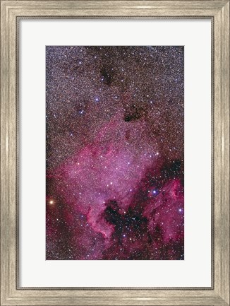 Framed NGC 7000 and the Pelican Nebula Print