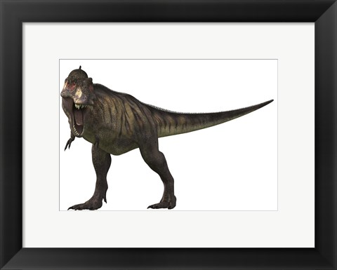 Framed Tyranosaurus Rex Print