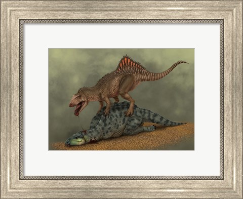 Framed Concavenator kills a young iguanodon dinosaur Print