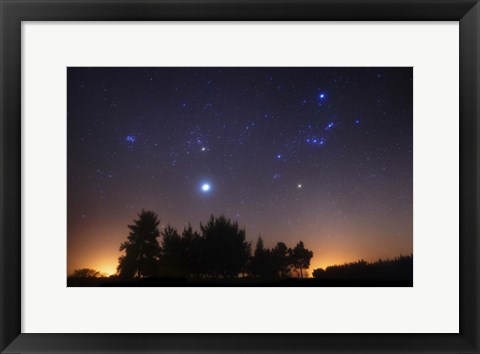 Framed Pleiades, Taurus and Orion with Jupiter over Doyle, Argentina Print