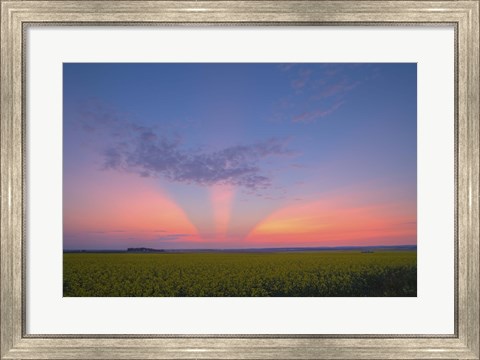 Framed Crepuscular rays at sunset, Alberta, Canada Print