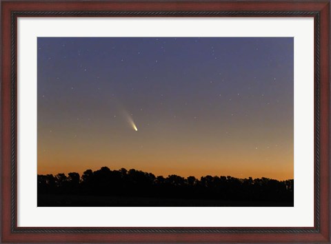 Framed Comet Panstarrs at twilight,  Buenos Aires, Argentina Print