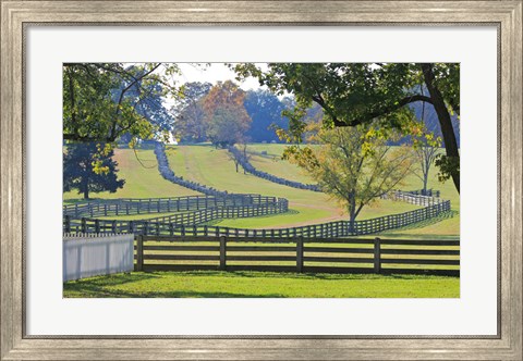 Framed Stacked Split-Rail Fences in Appomattox, Virginia Print