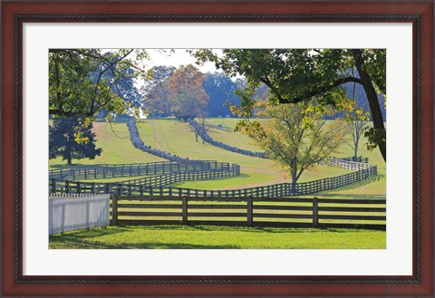 Framed Stacked Split-Rail Fences in Appomattox, Virginia Print