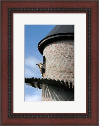 Framed Fairview winery, goat tower, Paarl, South Africa Print