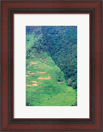 Framed Abutting Agricultural Development, Uganda Print