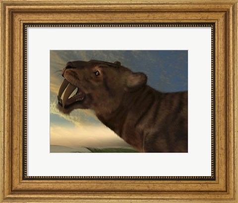 Framed Saber-Tooth Cat with dagger like front canine teeth Print