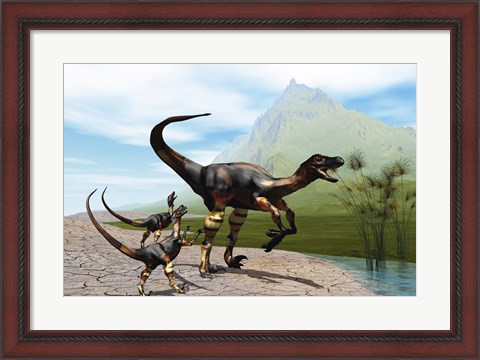 Framed Velociraptor offspring beg mother dinosaur for food near a pond Print