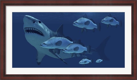 Framed school of fish encounter a monstrous Megalodon shark Print