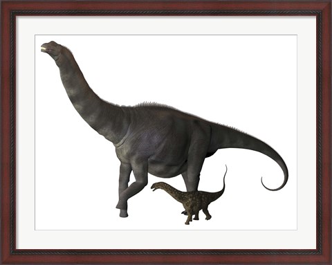 Framed Argentinosaurus and juvenile Print