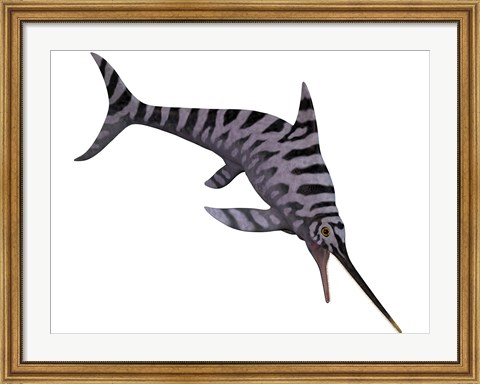 Framed Eurhinosaurus, an extinct genus of ichthyosaur Print